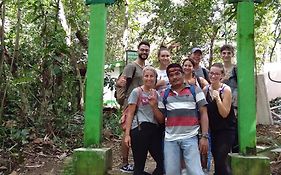 Jungle Treking & Jungle Tour If You Want To Stay Here,You Must Book Treking Only With Us