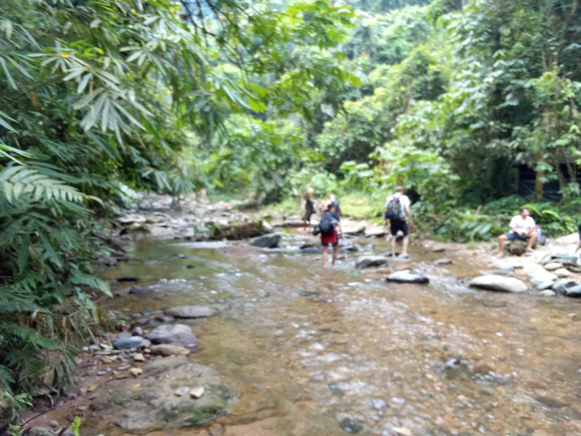 Jungle Treking & Jungle Tour If You Want To Stay Here,You Must Book Treking Only With Us Bukit Lawang Esterno foto