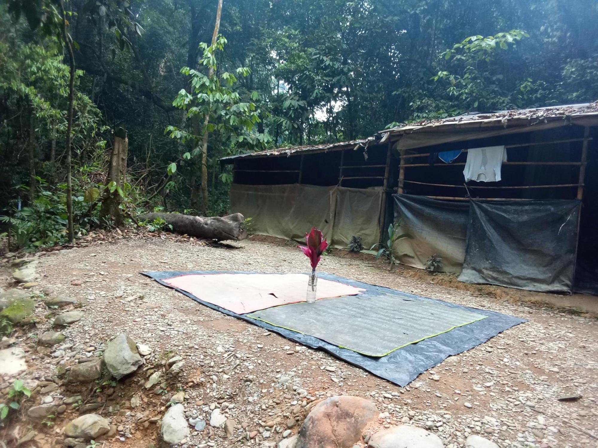 Jungle Treking & Jungle Tour If You Want To Stay Here,You Must Book Treking Only With Us Bukit Lawang Esterno foto