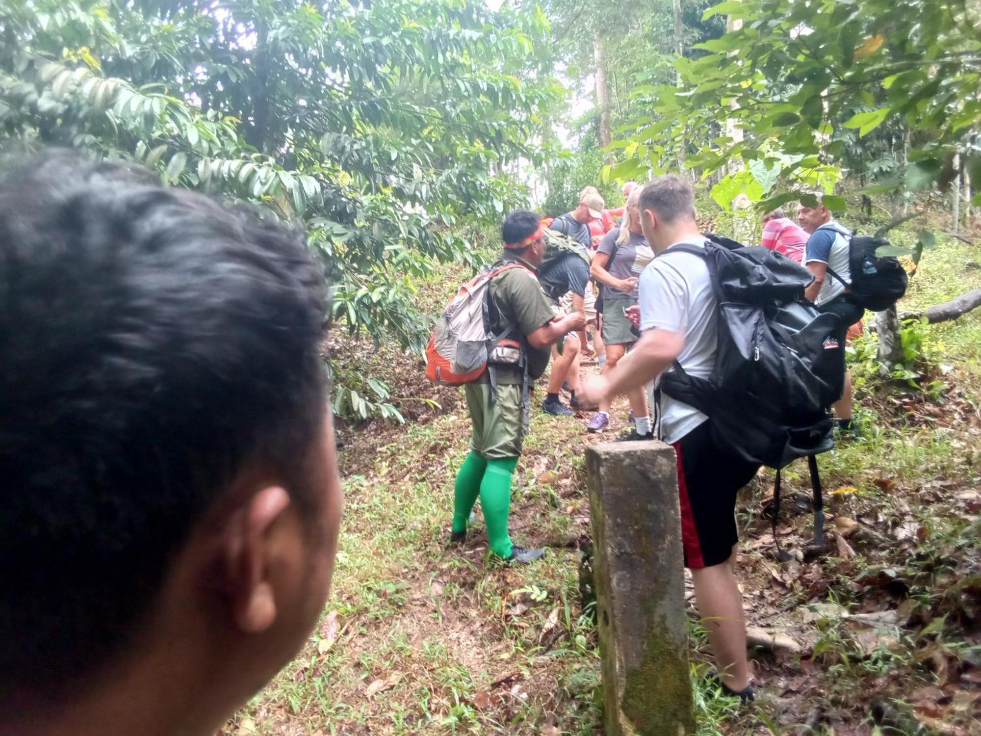 Jungle Treking & Jungle Tour If You Want To Stay Here,You Must Book Treking Only With Us Bukit Lawang Esterno foto