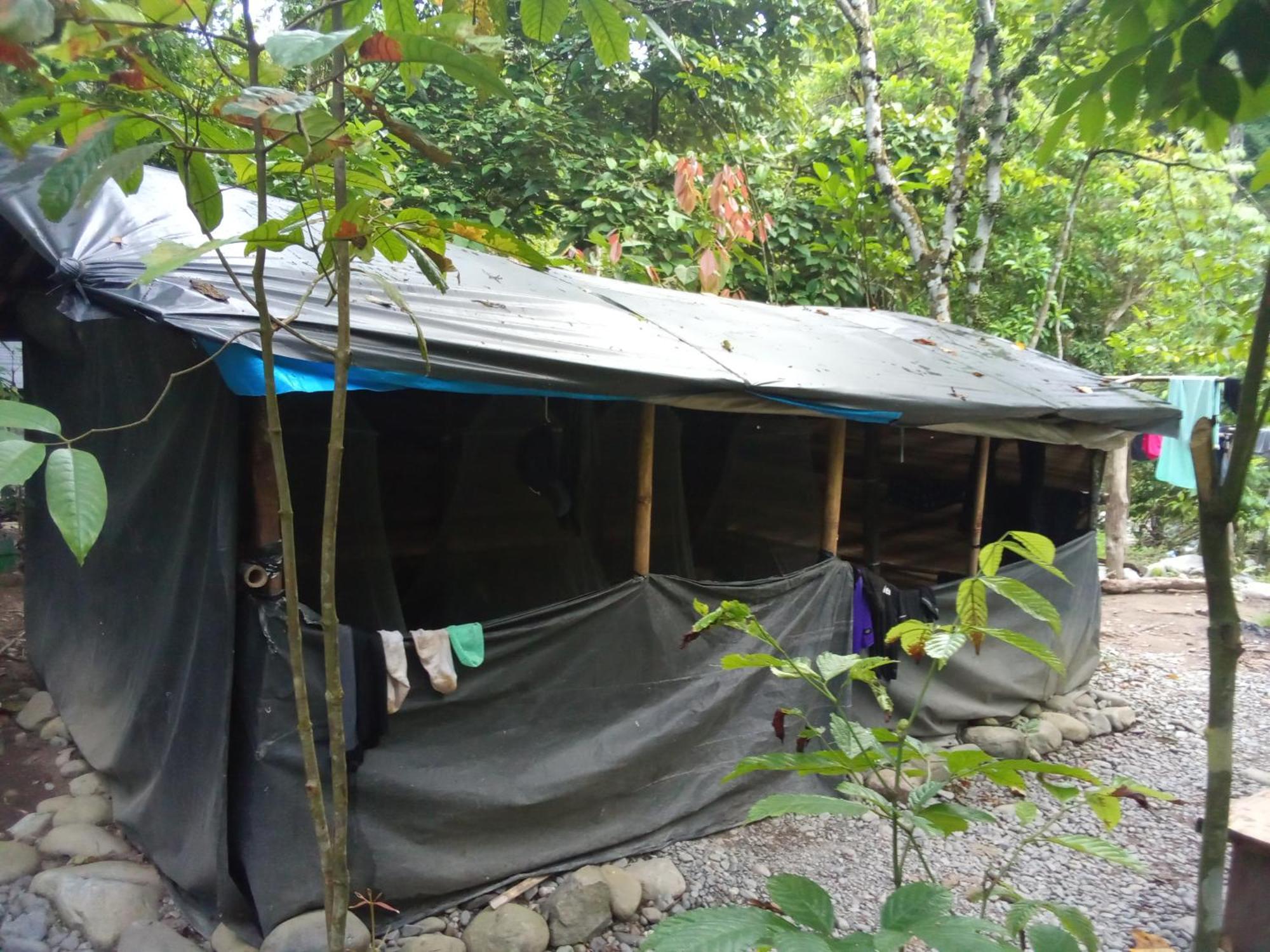 Jungle Treking & Jungle Tour If You Want To Stay Here,You Must Book Treking Only With Us Bukit Lawang Esterno foto