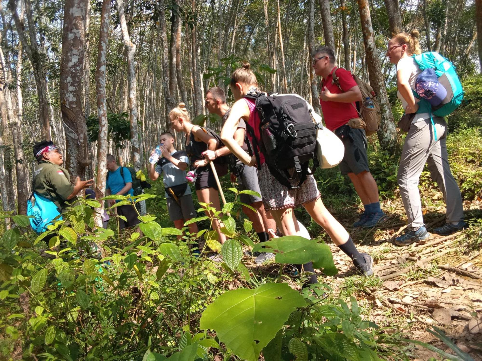 Jungle Treking & Jungle Tour If You Want To Stay Here,You Must Book Treking Only With Us Bukit Lawang Esterno foto